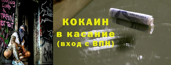 сатива Лагань
