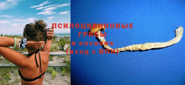 эйфоретик Ладушкин