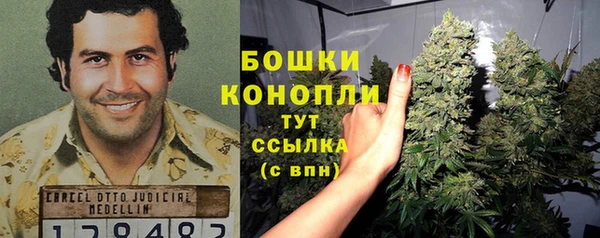 эйфоретик Ладушкин