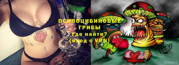 эйфоретик Ладушкин