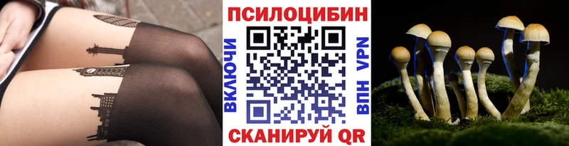 Псилоцибиновые грибы Psilocybine cubensis  Мариинский Посад 